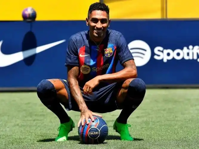 团队协作和 团队协作和