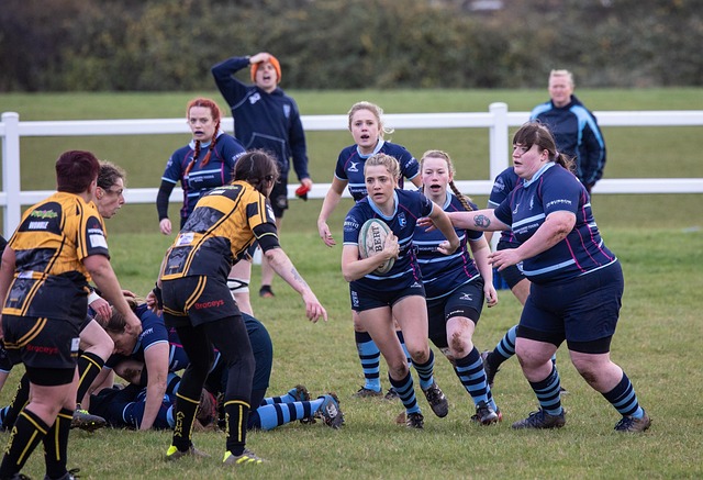 阿根廷的梅 阿根廷的梅