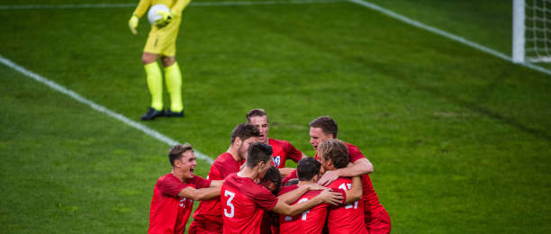 的坚强堡垒 的坚强堡垒